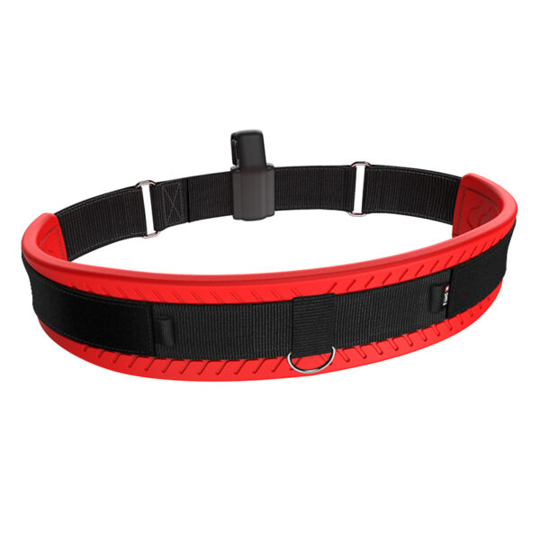 WING BELT 2.0 2022